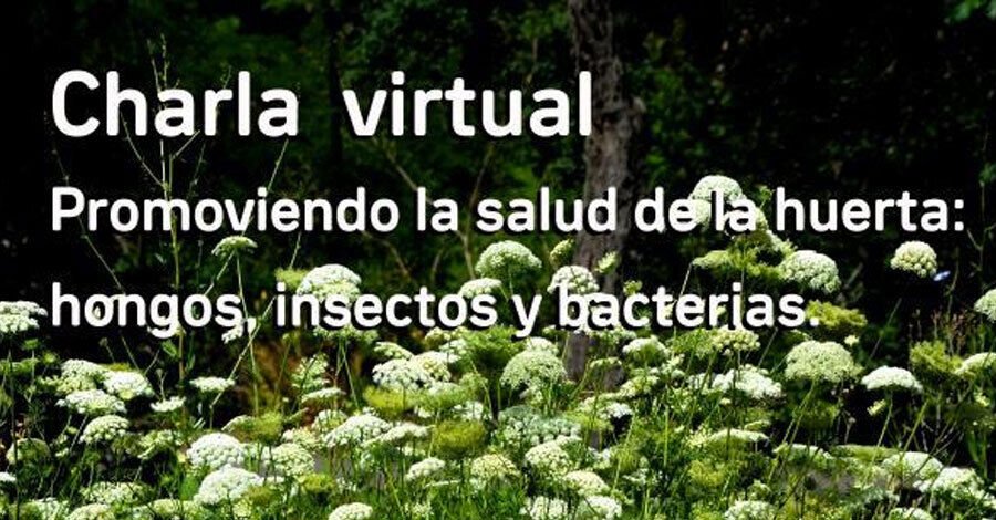 Charla virtual: “Promoviendo la salud de la huerta: hongos, insectos y bacterias”