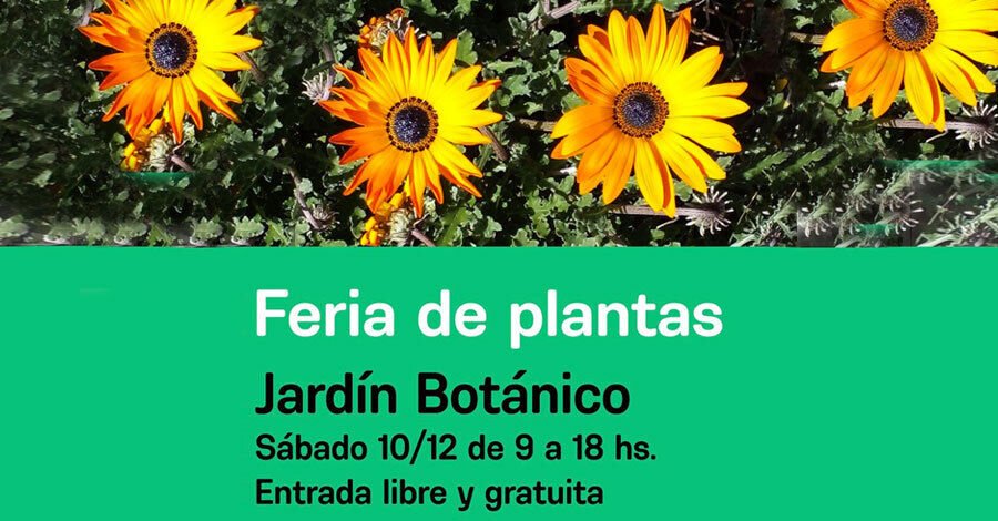 Feria de Plantas en el Jardín Botánico diciembre