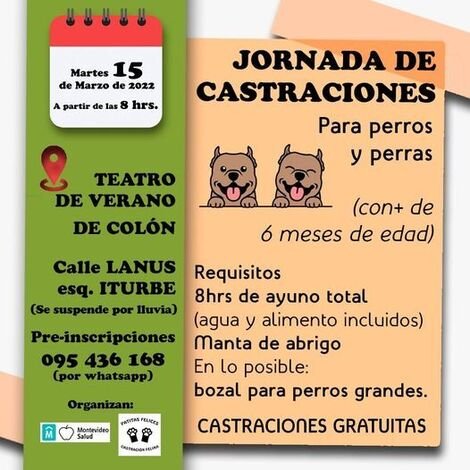 afiche castraciones de perros