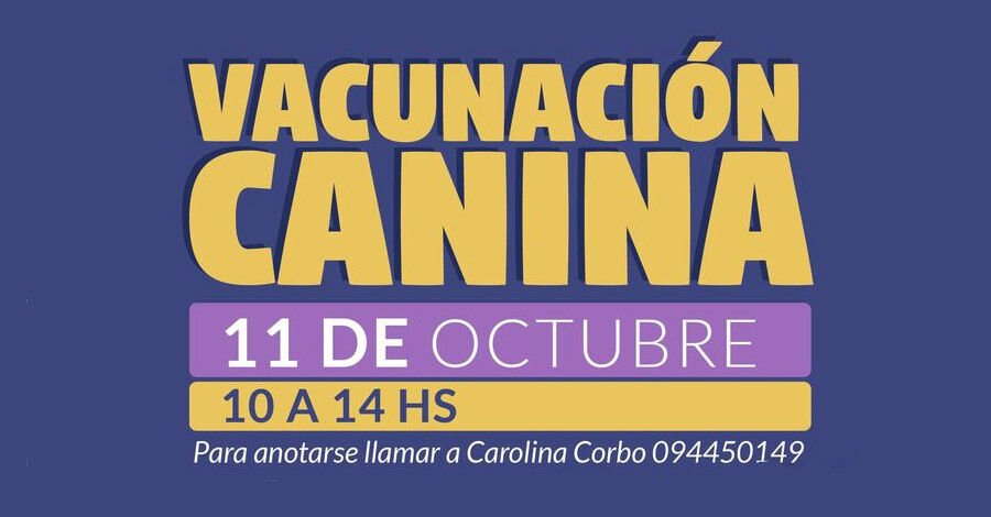 Vacunación Canina en el Club Isidro Fynn