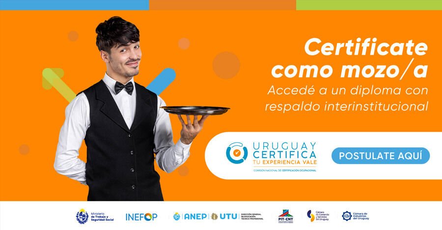 Certificate como Mozo/a