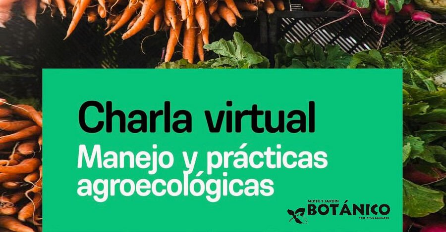 Charlas virtuales de Hurta del Jardín Botánico