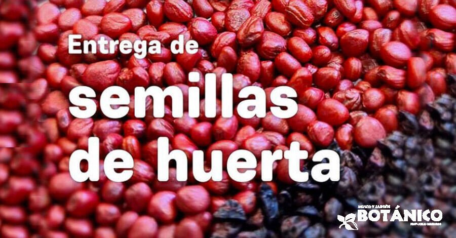 Nueva entrega de semillas en el Jardín Botánico de Montevideo