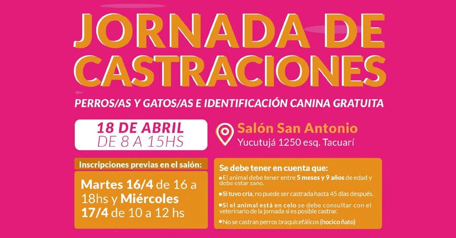 Nueva jornada de castraciones en el Salón San Antonio