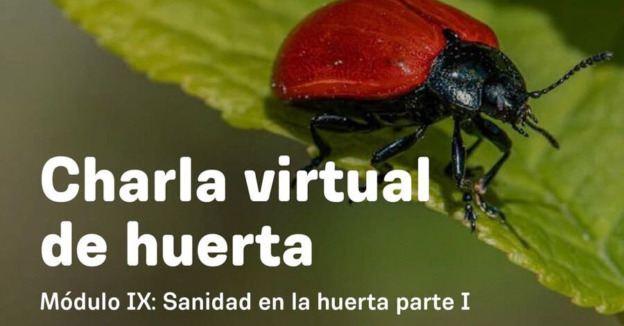 Charla virtual de huerta del Jardín Botánico de Montevideo