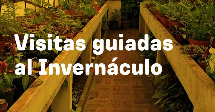 Visitas guiadas al Invernáculo del Jardín Botánico de Montevideo