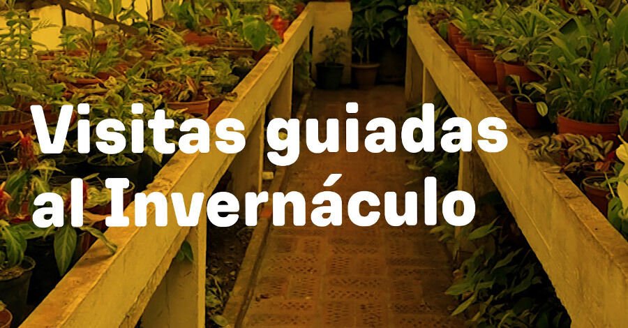 Visitas guiadas al invernáculo del Jardín Botánico