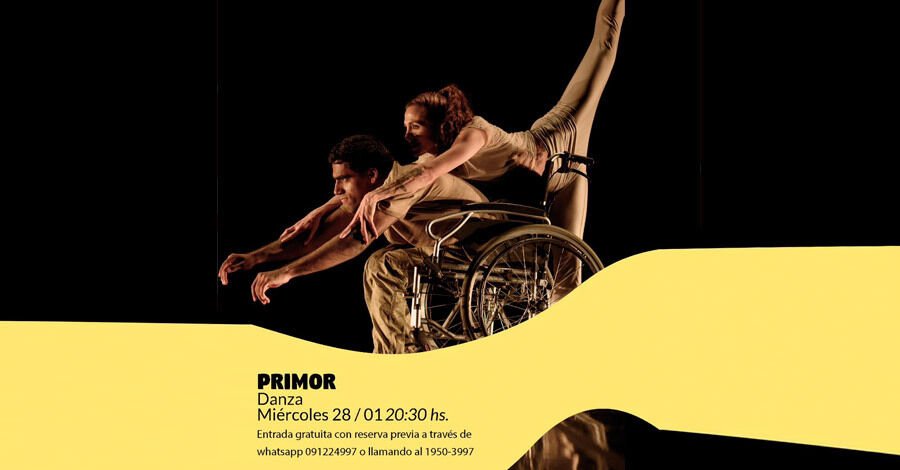 Primor en el Centro Cultural Artesano