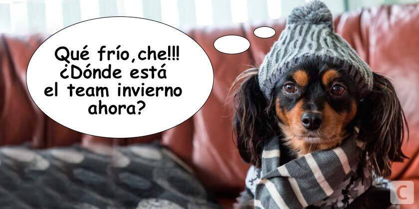 Humor de viernes Que tamos en Primavera le toy diciendo