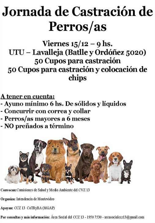 afiche castraciones