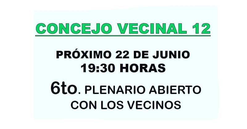 consejo vecinal