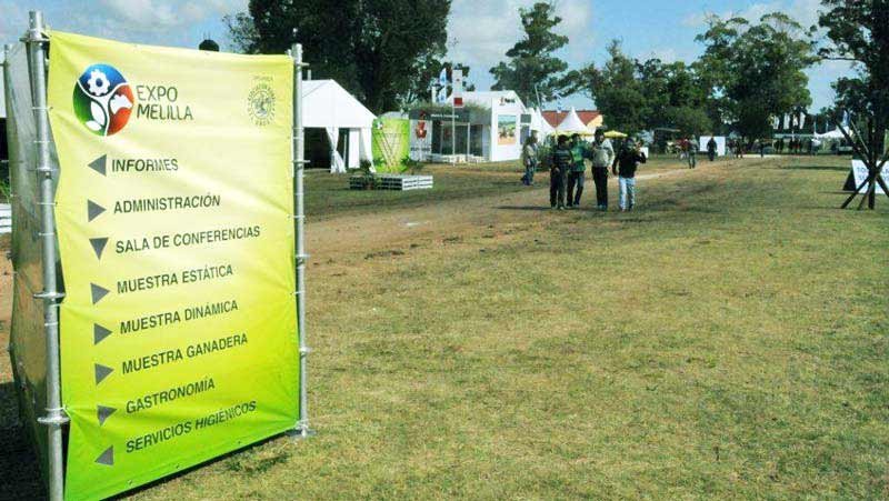 expomelillapaseos