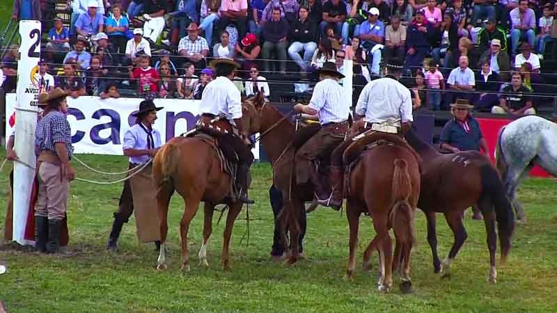 fiesta del sur