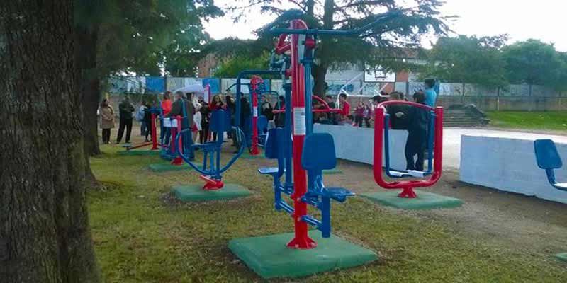 juegos saludables puestos por bimbo