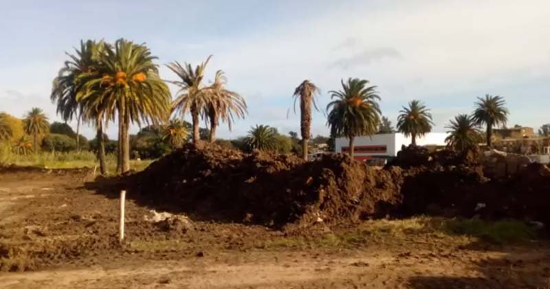 proyecto liceo