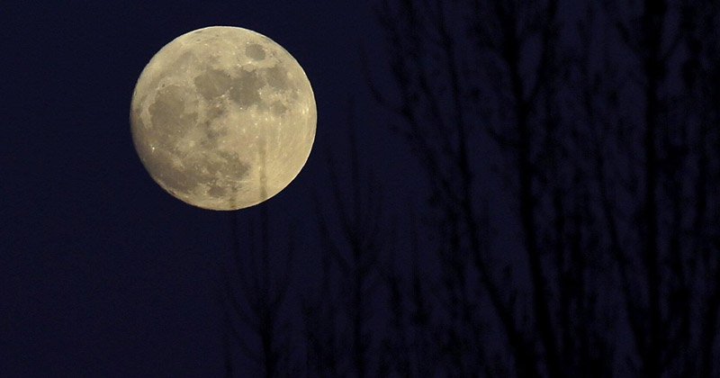 luna de nieve