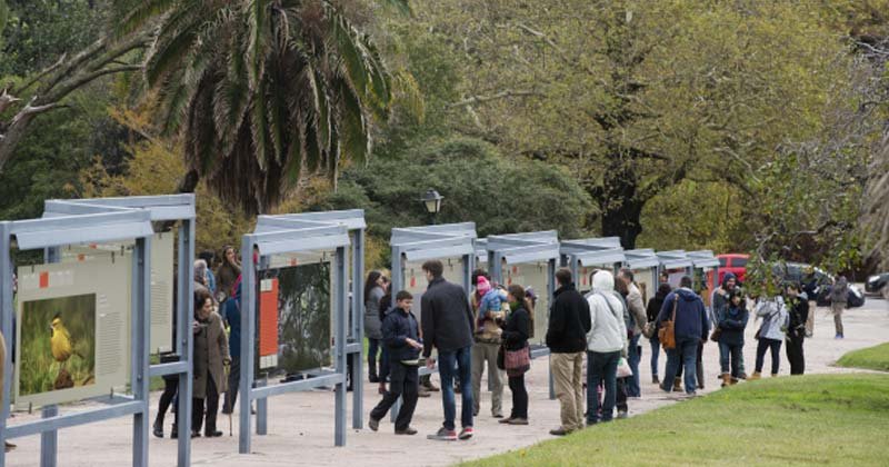 fotogalerias