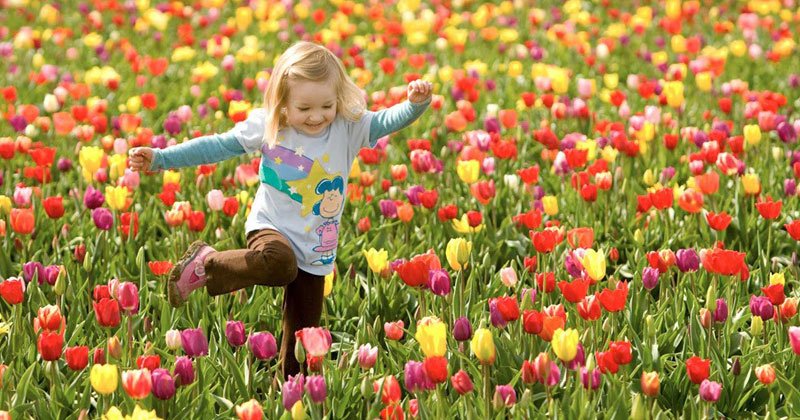 Primavera 2019