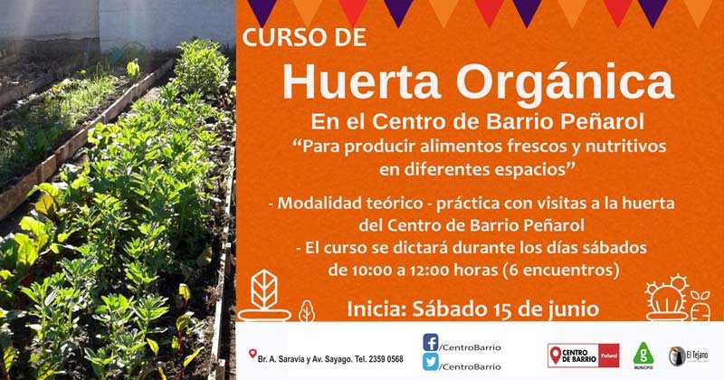 curso de huerta organica 2019