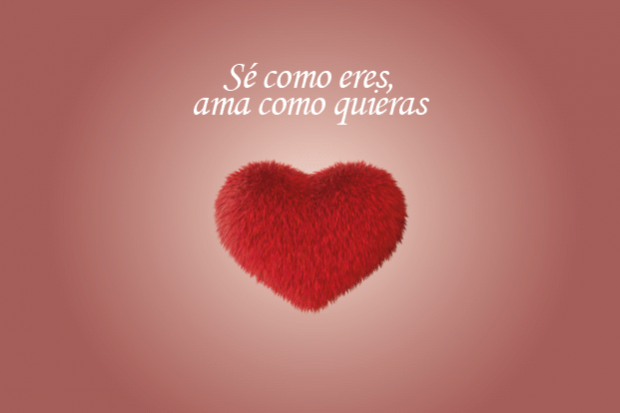 mes de la diversidad afiche 1