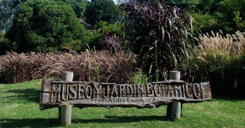 visita guiadas al jardin botanico