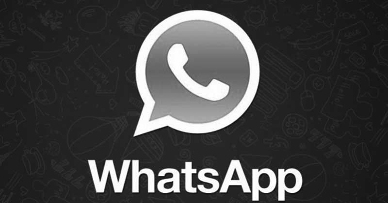 whatsapp caido