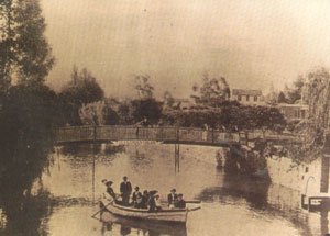 Arroyo-pantanoso-_colon