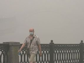 humo